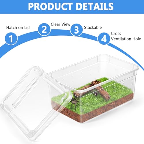 Small Jumping Spider Enclosure - 6 Pack Spider Terrariums, Breeding Box, Transparent Hatching Container, Plastic Feeding Box - 6 Pcs Super Mini