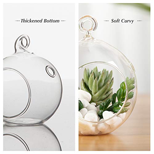 WGV Hanging Terrarium Globe, Width 4", Height 4.75", DIY Air Succulent Planter, Clear Glass Vase Orb with Flat Bottom, Candle Holder for Windowsill Outdoor Garden Decor, 3 Pieces Bulk - size: 4"