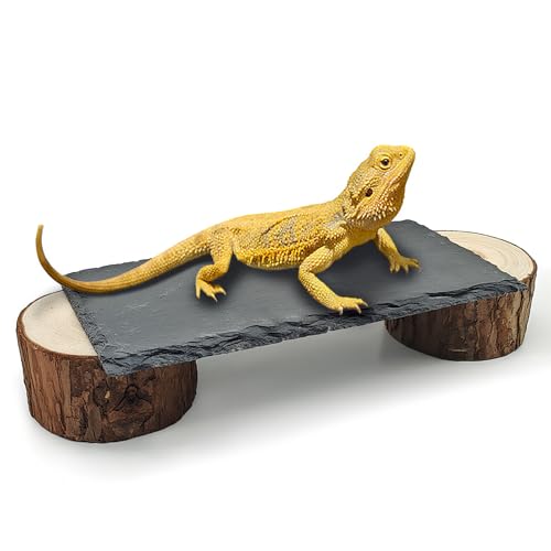 Bearded Dragon Basking Platform,Reptile Slate Rocks with Wooden Pile,Leopard Gecko Hides and Caves Climbing Tank Accessories for Lizards Snakes Tortoise Ball Python(Small)