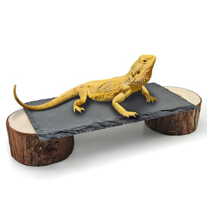 Bearded Dragon Basking Platform,Reptile Slate Rocks with Wooden Pile,Leopard Gecko Hides and Caves Climbing Tank Accessories for Lizards Snakes Tortoise Ball Python(Small)