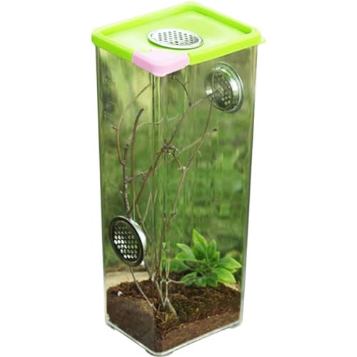 Reptile Growth Tank, Reptile Terrarium Vivarium for Small Incects, Reptile Feeding Box for Jumping Spider, Scorpion, Mantis, Snail, Climbing Pet Container, Reptile Habitat Breeding Box,XL - color: Xl
