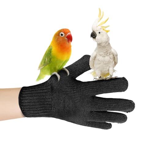 Bird Training Anti-Bite Gloves, Bite Proof Gloves, Small Animal Handling Chewing Protective for Small Animal Pet(Black