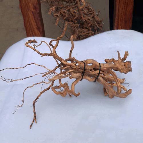 Natural Driftwood Root Trunk Tree Aquarium Decor, 10-30 CM | Randomly Bundled, Fish Tanks, Terrariums, Aquascaping & Planted Tanks