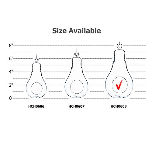 WGV Hanging Glass Plant Terrarium, Width 4.25", Height 8.25", Bulb DIY Air Succulent Planter Clear Tea Light Votive Candle Holder, Wedding Event Office Home Outdoor Decor, 1 Piece - size: Bulb L