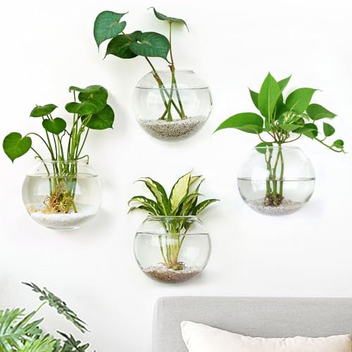 DomeStar Set of 4 Wall Vases, Wall Mounted Propagation Station | Hanging Glass Vases, Terrarium Station for Hydroponics, Plants Home Office Decor (5 Inch) - size: 4pcs