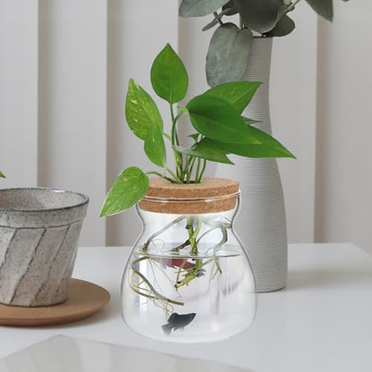 Glass Terrarium Jar for Succulent Plants with Hydroponic Hole Lid, Medium Trapezoid Glass Container for Indoor Mini Ecosystem and Plant Propagation