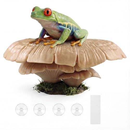 Mushroom Reptile Ledge| Tree Frog Terrarium Tank Accessories, Crested Gecko Tank Accessories, Frog Habitats, Fish Tank Decor| Terrarium Plants Decor from Daughter| 4 Suction Cups