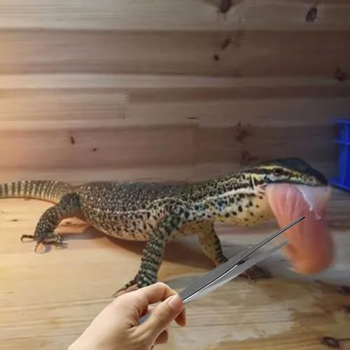 Reptile Sand Substrate Scoop Reptile Sand Fine Mesh Reptile Scooper Stainless Steel Terrarium Substrate Sand Bedding Litter Cleaner Scoop and Reptile Long Feeding Tongs Set (Green-2mm) | Stainless Steel 2mm Fine Mesh Reptile Scooper Terrarium Substrate Sa