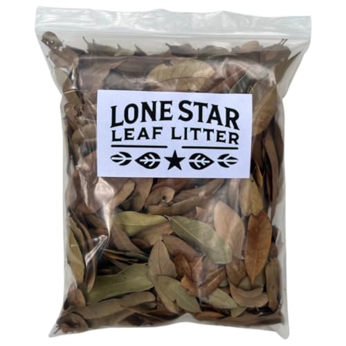 Texas Live Oak Leaves in Resealable Bag (1 Gallon) - Bioactive Substrate for Reptiles, Isopods, Terrariums & Vivariums - size: 1 gallon - resealable