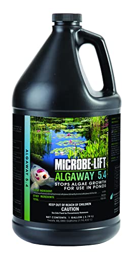 MICROBE-LIFT ALGAGAL Algaway 5.4 Algae Control Treatment for Ponds and Water Gardens, Safe for Koi Fish, Goldfish, Plants, and Decorations, 1 Gallon - size: 1 Gallon