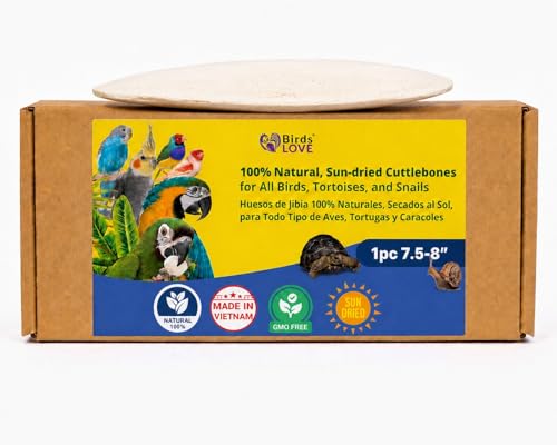 Birds LOVE 7.5-8" Cuttlebone for Birds – 100% Natural Sun-Dried Calcium Carbonate Mineral Supplement – for Parakeets, Budgies, Cockatiels, Finches & Canaries – 1 Pack with Holder – Made in Vietnam - size: 1 Count (Pack of 1)