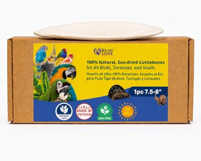 Birds LOVE 7.5-8" Cuttlebone for Birds – 100% Natural Sun-Dried Calcium Carbonate Mineral Supplement – for Parakeets, Budgies, Cockatiels, Finches & Canaries – 1 Pack with Holder – Made in Vietnam - size: 1 Count (Pack of 1)