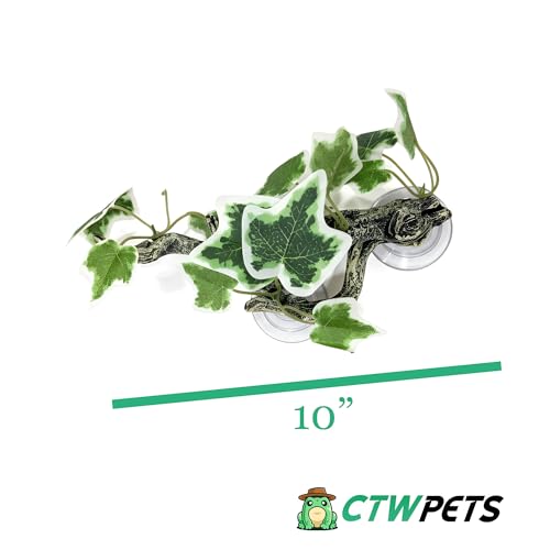 Reptile Climbing Vine 2-Pack – Resin Driftwood with Suction Cups & Bendy Ivy (Medium-Large 10") for Terrariums, Geckos, Lizards, Snakes, and Reptile Habitats (White Ivy) - color: White Ivy