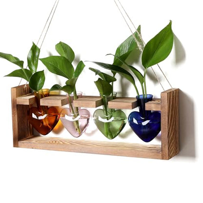 Plant Propagation Stations Heart Plant Terrarium Kit | Gift for Women Plant Lover Glass Vases - color: Color02