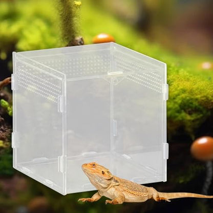 Reptile Feeding Box, Reptile Terrarium, Acrylic, Professional, Spacious Container, for Bearded Dragons, 15x15x15cm - size: 15x15x15cm
