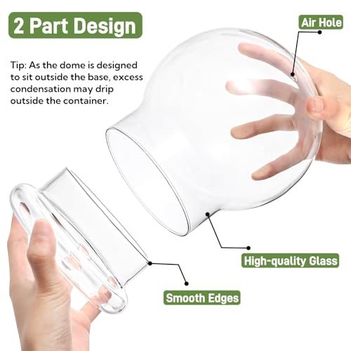 2 Pack Round Glass Cloche Domes with Air Hole and Base, 4.6 X 6.6 Inches Clear Terrarium Planter, Cloche Planters, Terrarium Bell Jar, Humidity Dome for Plants, Borosilicate Glass
