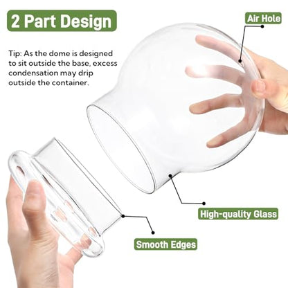 2 Pack Round Glass Cloche Domes with Air Hole and Base, 4.6 X 6.6 Inches Clear Terrarium Planter, Cloche Planters, Terrarium Bell Jar, Humidity Dome for Plants, Borosilicate Glass
