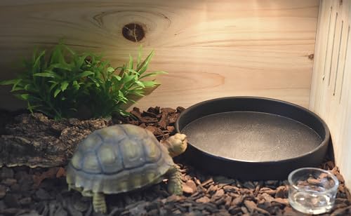 OMEM Reptile Food Bowl Water Dish,Feeding Dish, Birds Bowl (M, Black) - color: Black, size: Medium