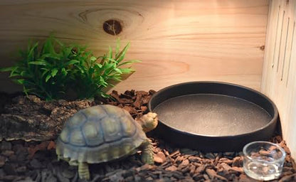 OMEM Reptile Food Bowl Water Dish,Feeding Dish, Birds Bowl (M, Black) - color: Black, size: Medium