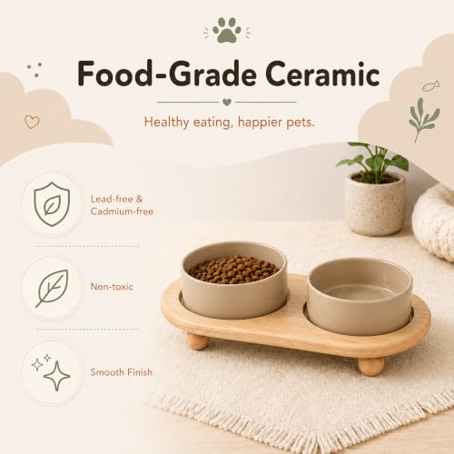 Havniva Raised Cat Bowl 5.1” Elevated Ceramic Cat Food and Water Bowl Set | Cat Bowls Elevated, Whisker Friendly Cat Bowl, Non-Slip Wood Stand, Food-Grade Ceramic, Wide Opening, Dishwasher Safe - color: Greige, size: 2 Bowls+Tray - 5.1"