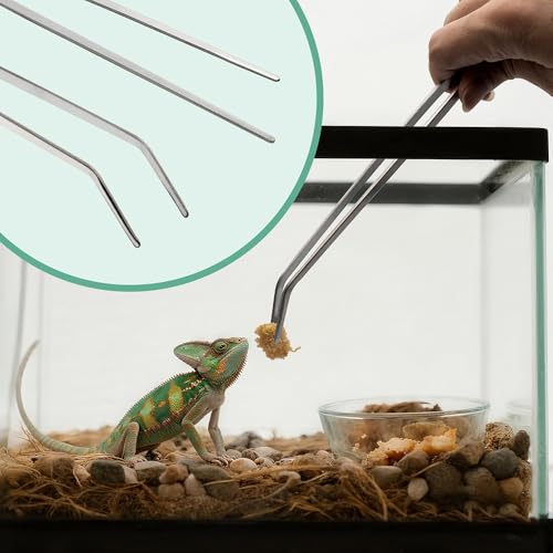 Syn-zer Reptile Feeding Tongs, 10.6" Straight & Curved | 2 Pcs Stainless Steel, Rustproof, Aquarium, Terrarium, Reptile, Bearded Dragon, Snake, Lizard, Crafts, Planting - color: Silver