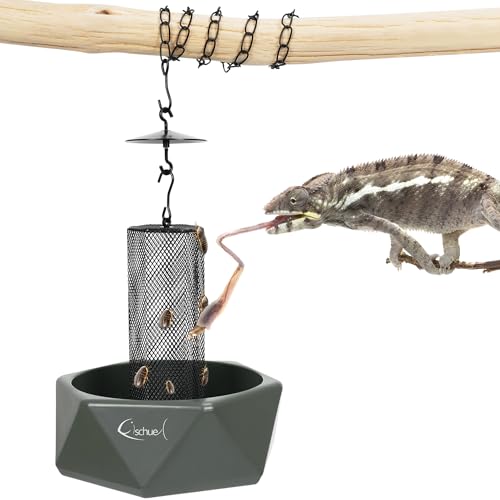 Chameleon Feeding Bowl, Hanging Insect Feeder with a Pillar for Prey to Climb Up, Suitable for Chameleon, Bearded Dragon, Lizard, Iguana, Gecko(Green) - color: Green