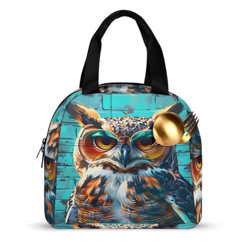 Funny Owl with Sunglasses Lunch Bag for Women Men | Insulated Lunch Box Leakproof Food Meal Containers Reusable Foldable 6L Capacity Lunch Tote Bags for Work Picnic Travel - color: Style 6
