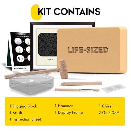 Dinosaur Dig Kit - Excavate 2 Life-Sized Fossils (T.Rex Claw & Ankylosaurus Spine) - STEM Authenticated Science Toy with Tools & Display Frame - Gifts for Boys & Girls Ages 6-12 - size: T.Rex Claw & Ankylosaurus Spine