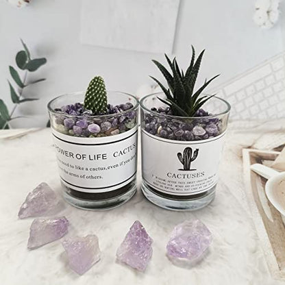 ZHIYUXI Amethyst Crystal Chips Fish Tank Gravel Vase Filler Stones Crushed Crystals Gemstone Polished Healing Crystals Natural Quartz Stone 0.44lbs - color: C# Amethyst, size: 0.44 Pound