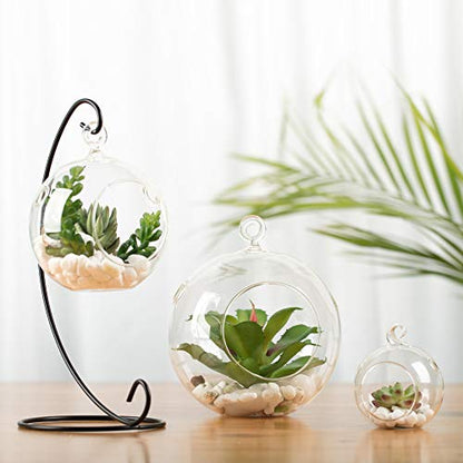WGV Hanging Terrarium Globe, Width 2.5", Height 3", DIY Air Succulent Planter, Clear Glass Vase Orb with Flat Bottom, Candle Holder for Windowsill Outdoor Garden Decor, 24 Pieces Bulk - size: 2.5" Flat Bottom