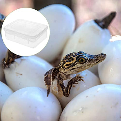 Professional Reptile Egg Incubation Tray 16-Compartment Hatchery Box for Snakes Lizards Turtles - color: without thermometer