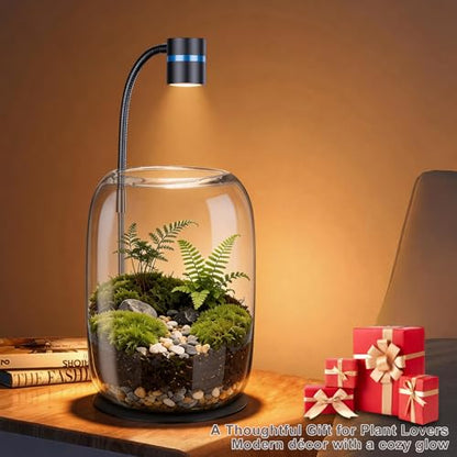 Glass Plant Terrarium with LED Grow Light for Home Office | 8.46" H x 5.9" D, Grow Light for Terrarium for Venus Fly Trap, Moss & Succulents, for Plant Lovers
