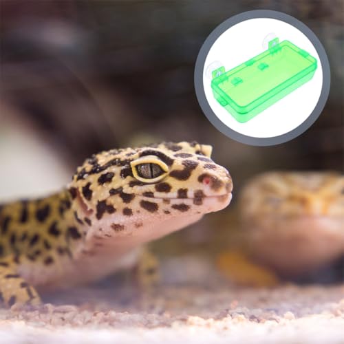 GALPADA Escape Prevention Plastic Reptile Feeder Bowl for Lizards and Snakes, Easy to Clean Light Green Feeding Dish Suitable for Bearded Dragon and Gecko Terrariums