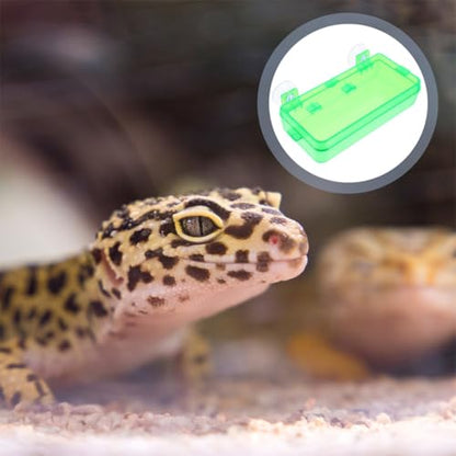 GALPADA Escape Prevention Plastic Reptile Feeder Bowl for Lizards and Snakes, Easy to Clean Light Green Feeding Dish Suitable for Bearded Dragon and Gecko Terrariums