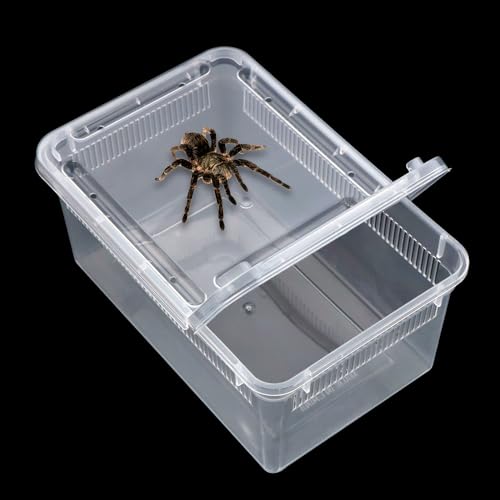 5 Pack Small Reptile Terrarium Breeding Box Transparent Hatching Container Plastic Feeding Box for Gecko Frog Spider Scorpion Centipede Insect