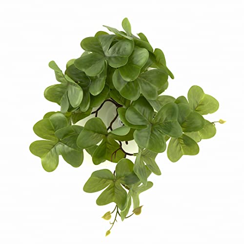Fake Shamrock, Amphibian Reptile Terrarium Suction Plants | For Frog Toad Gecko Snake Terrarium Habitat Enclosure Décor - color: Fake Shamrock