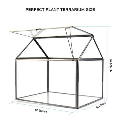 Large Glass Plant Terrarium – House Succulent Glass Terrarium Kit with Lip Glass Greenhouse Terrarium for Plant 12.26X9.15X10.9inch (Black 2)