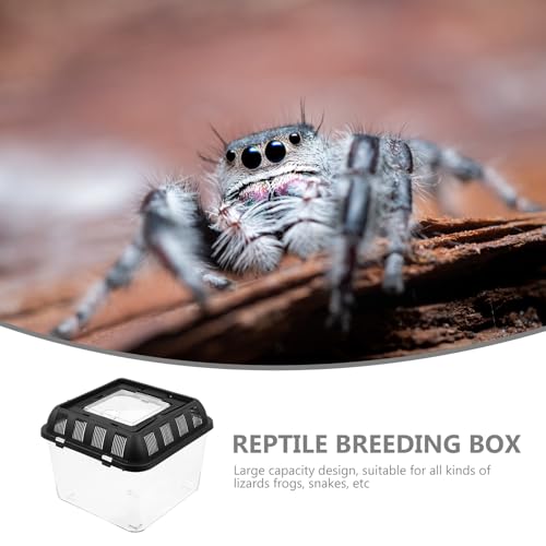 Reptile Breeding Box with Handle, Acrylic Portable Terrarium 20x20x16cm, Pet Display Container for Spiders, Frogs, Snakes, Suitable for Home and Travel Use