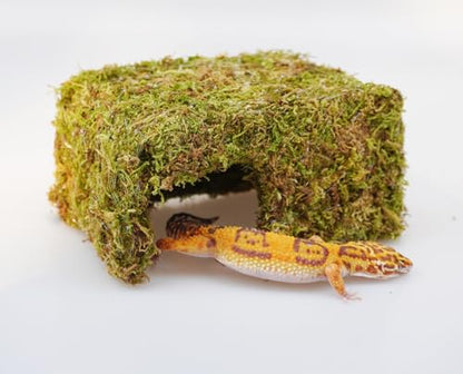 Leopard Gecko Tank Accessories, Reptile Moss Hide Cave, Adjustable Humid Tank Terrarium Decor Accessories for Corn Snakes and Small Lizards
