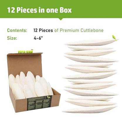 Sepia King - Medium - 100% Natural Calcium Supplement - Premium Cuttlebone Perfect for Birds, Tortoises, Snails, Reptiles - 12 Pack