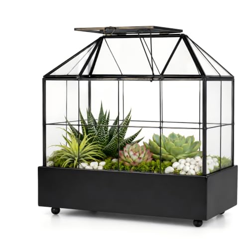 Large Tall Plant Terrarium Glass – Glass Greenhouse Terrarium with Lid and Tray,Indoor Tabletop Orchid Succulent Cacti Terrarium Kit 9.5”X9.8”X5.6”