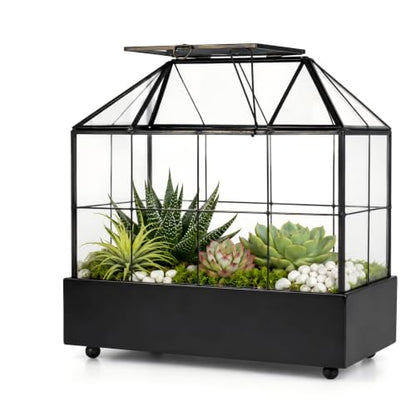 Large Tall Plant Terrarium Glass – Glass Greenhouse Terrarium with Lid and Tray,Indoor Tabletop Orchid Succulent Cacti Terrarium Kit 9.5”X9.8”X5.6”