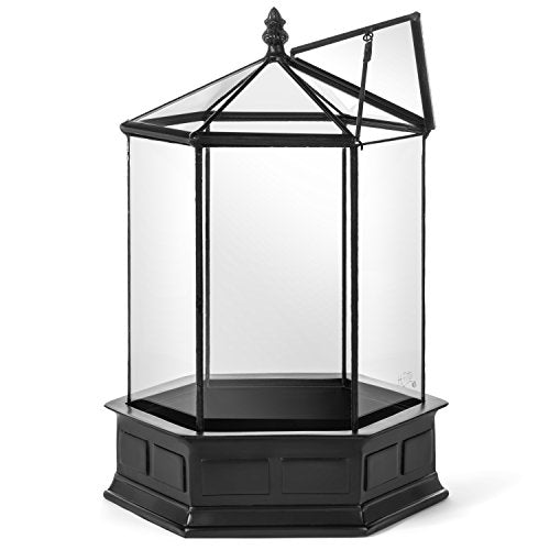 H Potter Six-Sided Glass Terrarium Wardian Case Succulent Planter | Hinged Roof, Indoor Plant Display, Resin Base, Decorative Tabletop