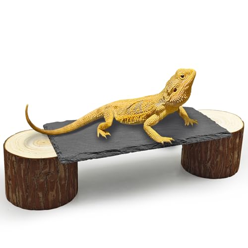 Bearded Dragon Basking Platform,Reptile Slate Rocks with Wooden Pile,Leopard Gecko Hides and Caves Climbing Tank Accessories for Lizards Snakes Tortoise Ball Python(Small High