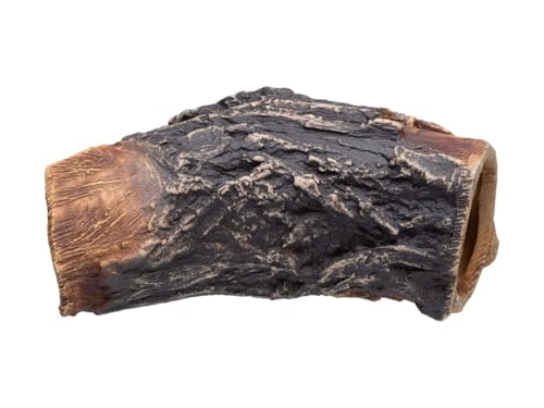 Aquarium Cave - Ceramic Betta Fish Tank Decor - Natural Aquarium Decor - Large Reptile Hide - Fish cave Hideout - Snake Hide - Cave for Cichlids and plecos (Tree Lodge)