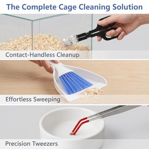 Mini Dustpan and Brush Set, Reptile Scoop Feeding Tool, Stainless Steel Straight & Curved Tweezers for Small Animals – Hamsters, Hedgehogs, Rats, Guinea Pigs, Lizards, Reptiles (Black)