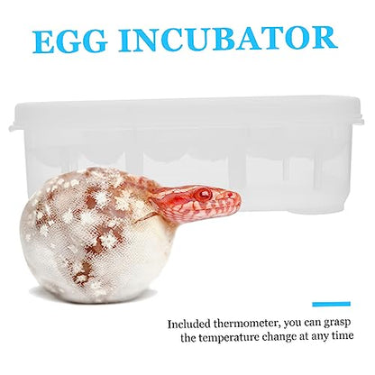 LIOOBO Egg Incubator for Reptile Lizard and Gecko Breeding Box 12 Grids Easy to Use