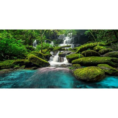 48x18 in Waterfall Terrarium Backdrop Moss Lake Reptile Habitat Background | AWERT Tropical Rainforest Moss Rock Mountain Green Tree Durable Polyester Background - size: 48x18in/120x45cm
