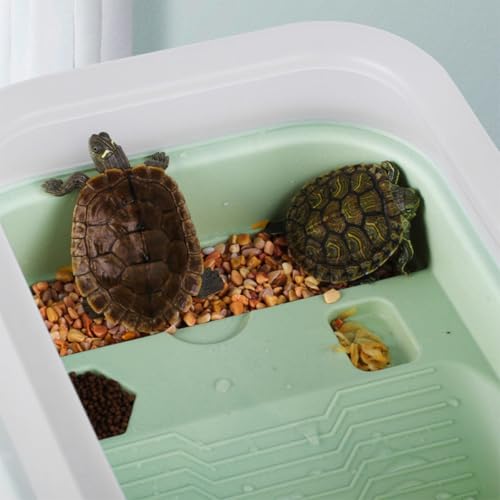 Indoor Tortoise Tank with Plastic Turtle Platform and Drainage System Portable Small Turtle Terrarium for Reptile Habitat Mint Green Basking Area