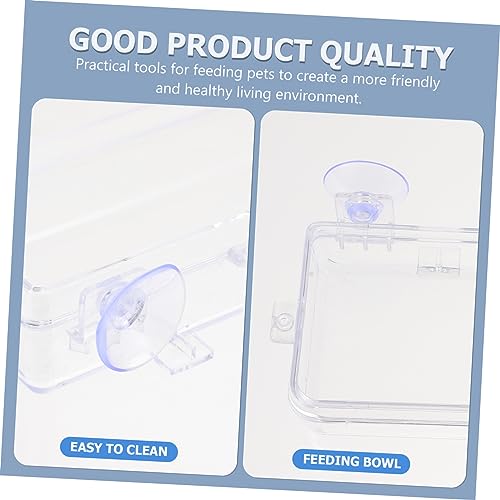 Beavorty 1pc Lizard Feeding Bowl Suction Cup Reptile Feeder Reptiles Reptile Water Bowl Reptile Gecko Feeder Dish Bowl Worm Dish Reptile Bowl Terraium Bowl Gecko Drink Acrylic Suction Basin